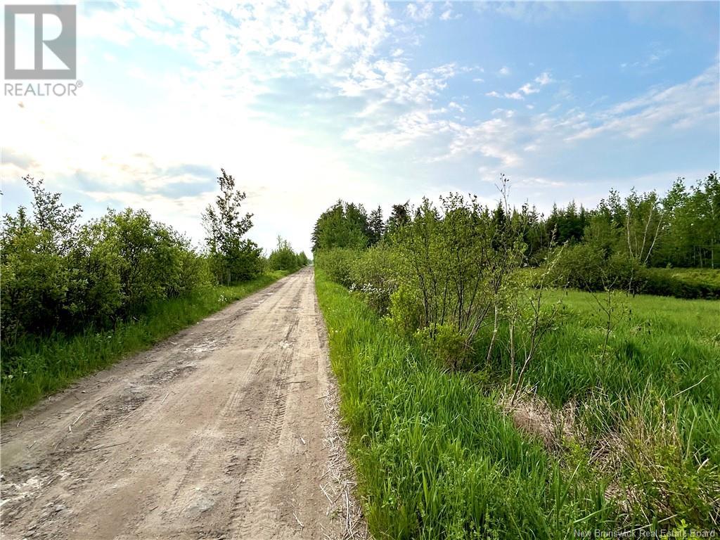 21 Acres Russell Road, Black River Bridge, New Brunswick  E1N 5T4 - Photo 2 - NB119873