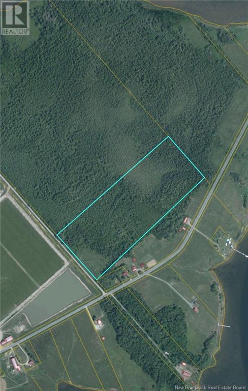 21 Acres Russell Road, Black River Bridge, New Brunswick  E1N 5T4 - Photo 3 - NB119873