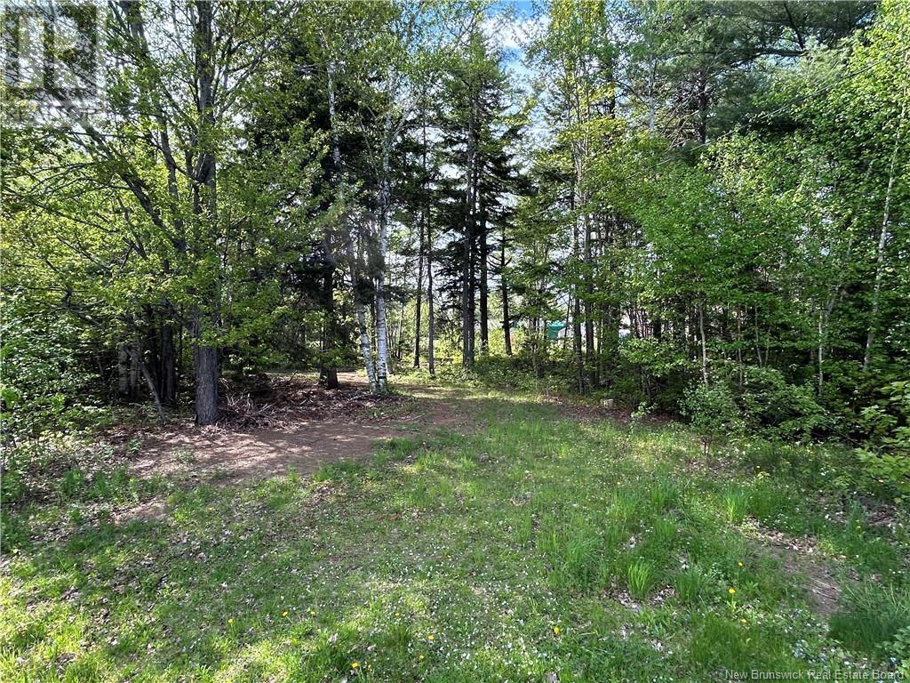 5 Lakeside Drive, Miramichi, New Brunswick  E1N 3G6 - Photo 3 - NB119869