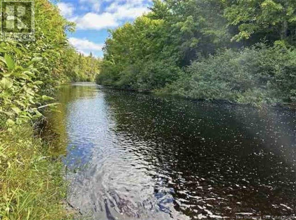 7066 Ch Desherbiers, Acadieville, New Brunswick  E4Y 2V5 - Photo 4 - NB119791