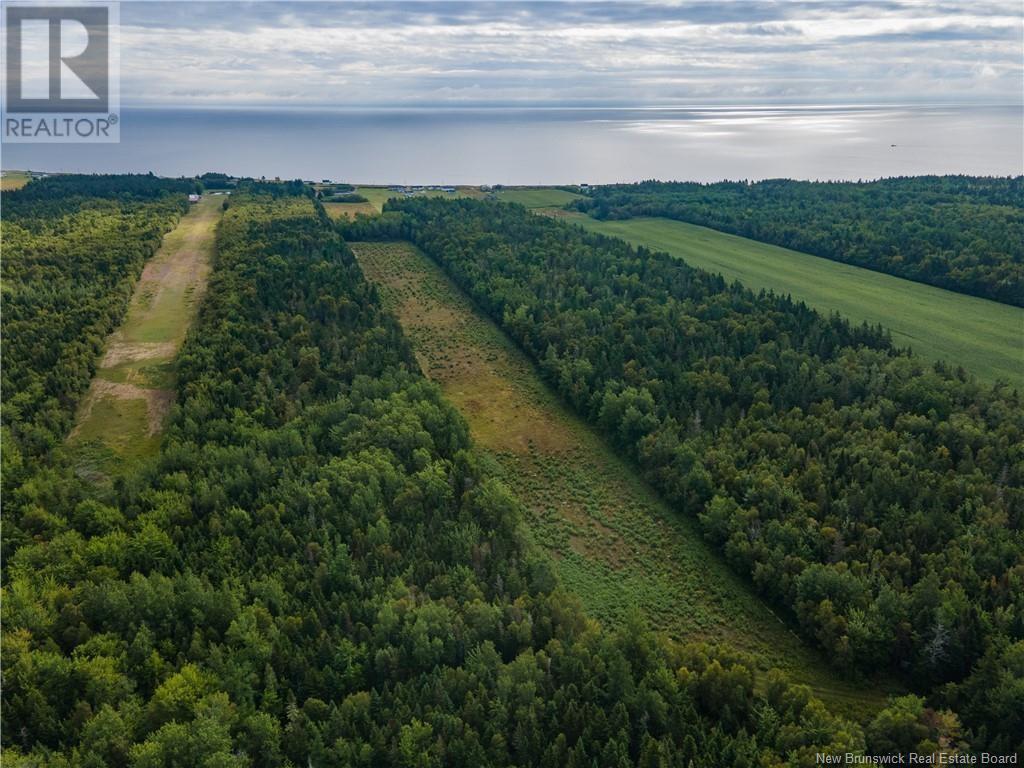 2831 Route 505, Cap Lumiere, New Brunswick  E1C 9M9 - Photo 6 - NB118366