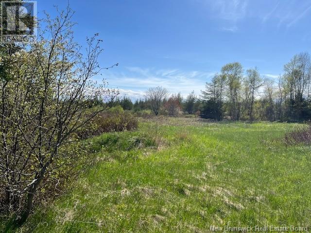 Lot 09-8 South Shore Road, Upper Cape, New Brunswick  E4M 2W2 - Photo 12 - NB119664