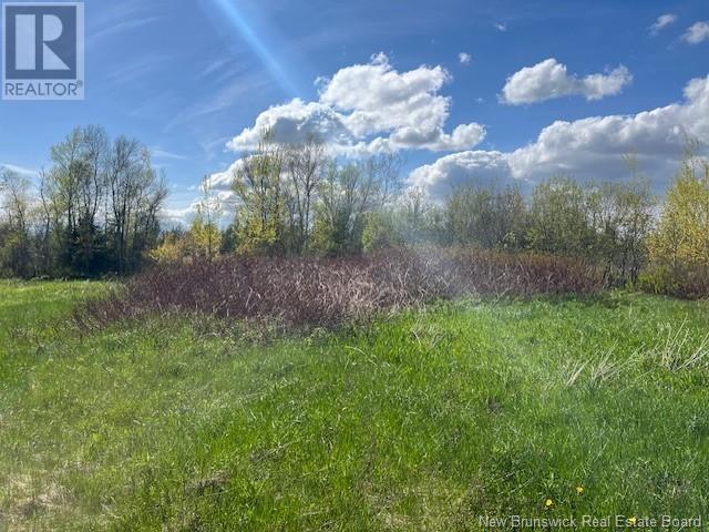 Lot 09-8 South Shore Road, Upper Cape, New Brunswick  E4M 2W2 - Photo 13 - NB119664