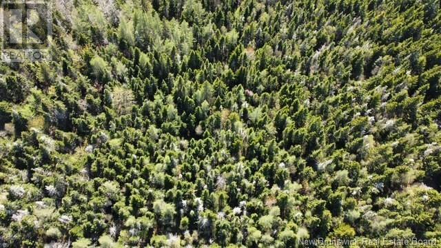 Lot 09-8 South Shore Road, Upper Cape, New Brunswick  E4M 2W2 - Photo 3 - NB119664