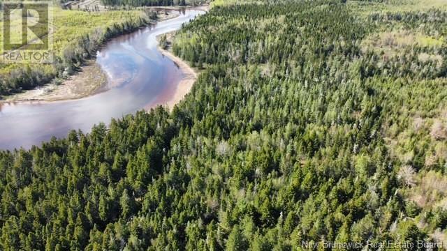 Lot 09-8 South Shore Road, Upper Cape, New Brunswick  E4M 2W2 - Photo 4 - NB119664
