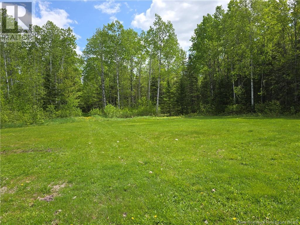 4201 Route 134, Allardville, New Brunswick  E8L 1H1 - Photo 8 - NB119954
