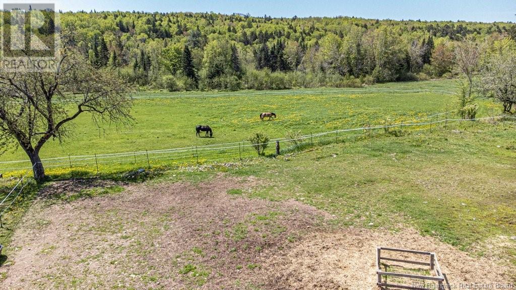 135 Kingsley Road, Estey's Bridge, New Brunswick  E3G 6B9 - Photo 46 - NB119872