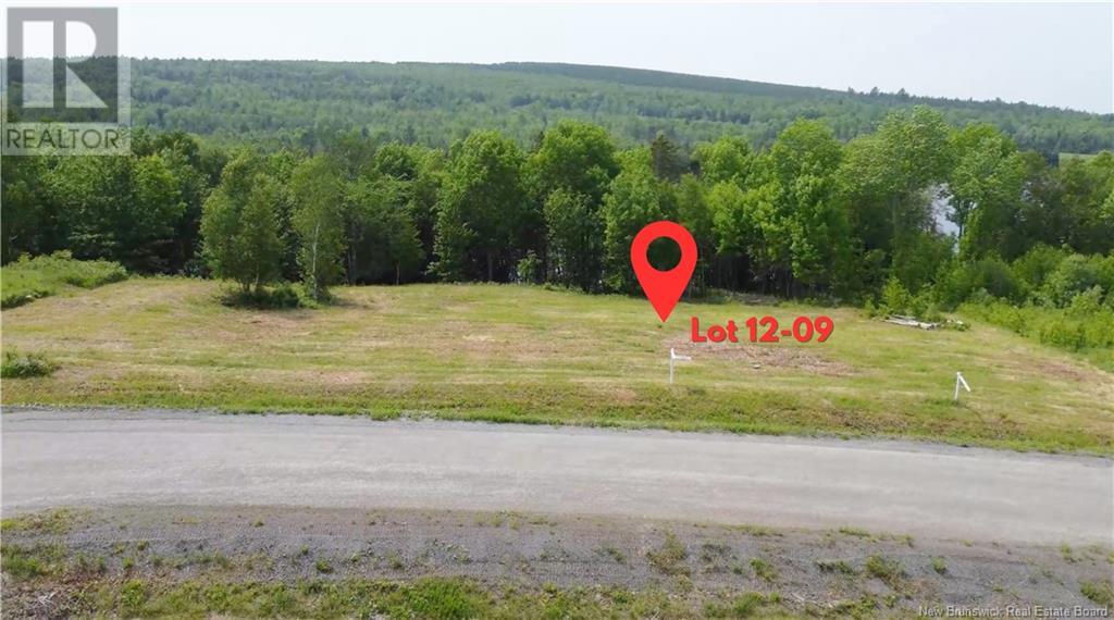 Riverview Drive, Lower Prince William, New Brunswick  E6K 3Y6 - Photo 4 - NB119846