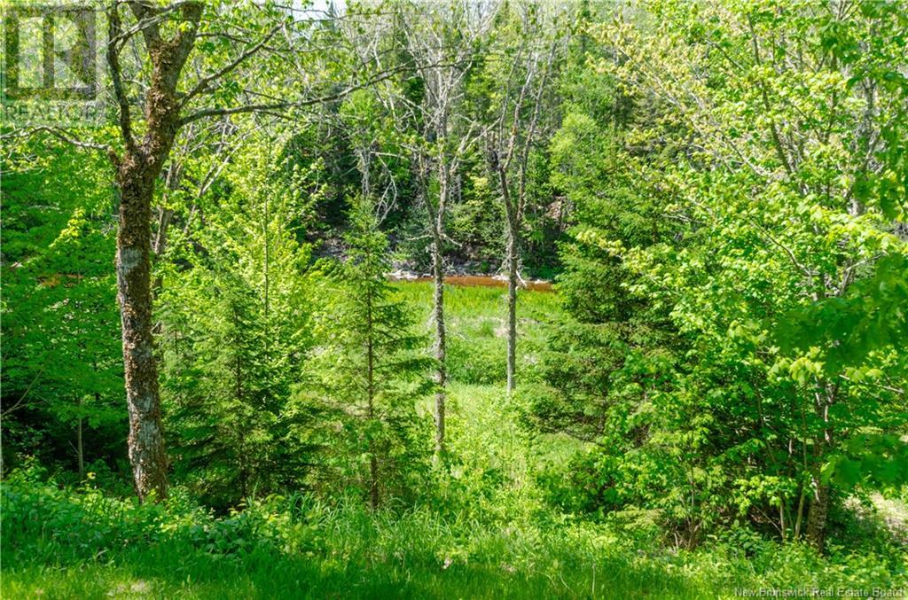 30 Spurr Road, Harewood, New Brunswick  E4Z 5T5 - Photo 32 - NB119688