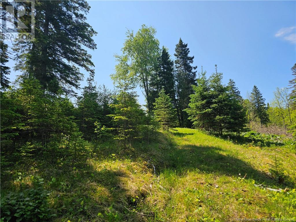 759 Enterprise Road, Enterprise, New Brunswick  E7G 1M8 - Photo 16 - NB119774