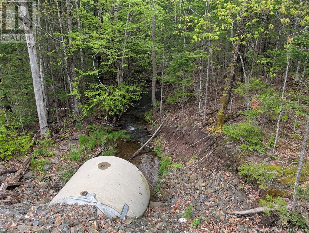 Lot Route 102, Gagetown, New Brunswick  E5M 1V9 - Photo 3 - NB120021