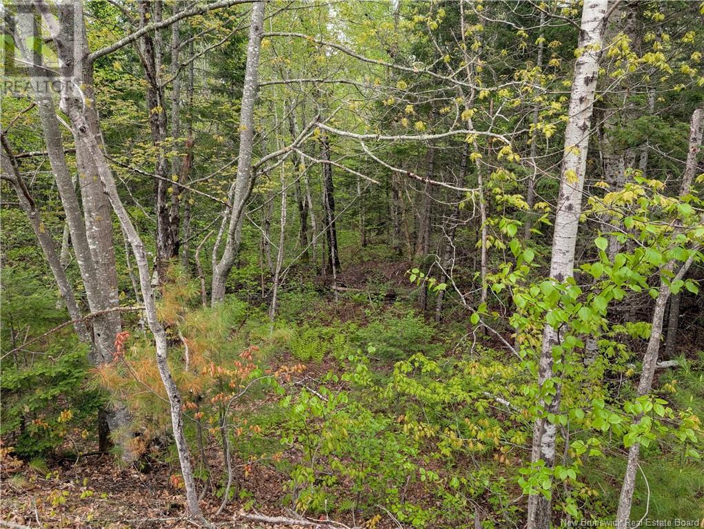 Lot Route 102, Gagetown, New Brunswick  E5M 1V9 - Photo 4 - NB120021