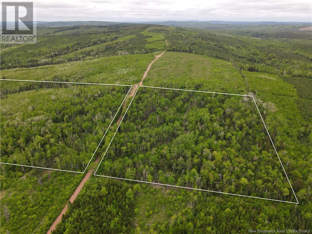 Lot Cemetery Road, Whites Mountain, New Brunswick  E4G 2M4 - Photo 3 - NB120041