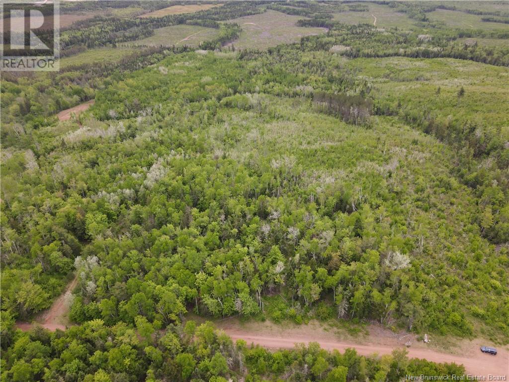 Lot Cemetery Road, Whites Mountain, New Brunswick  E4G 2M4 - Photo 4 - NB120041