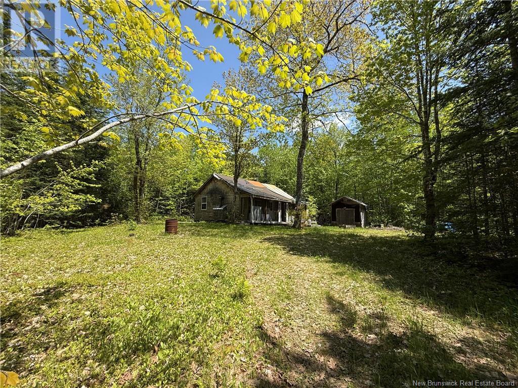 Lot With 2 Camps Hunters Home Lane, Hunters Home, New Brunswick  E4C 3J6 - Photo 29 - NB119972