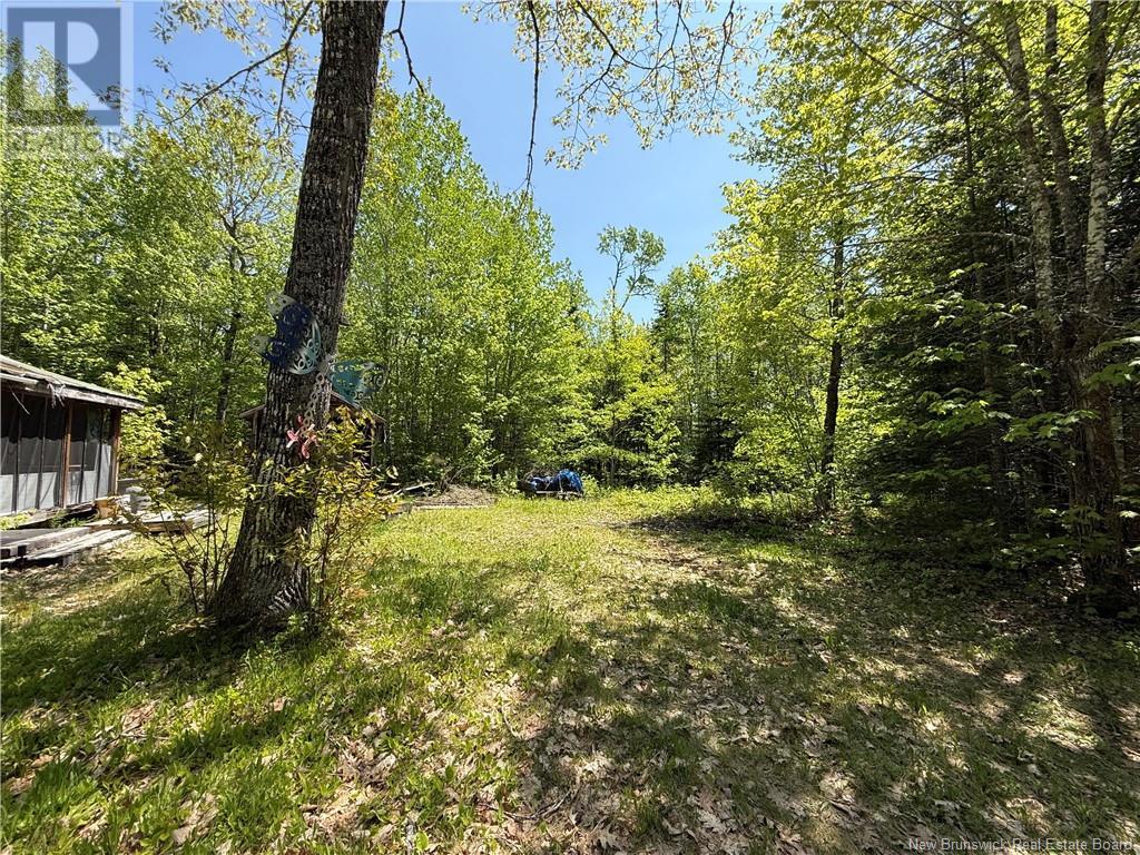 Lot With 2 Camps Hunters Home Lane, Hunters Home, New Brunswick  E4C 3J6 - Photo 30 - NB119972