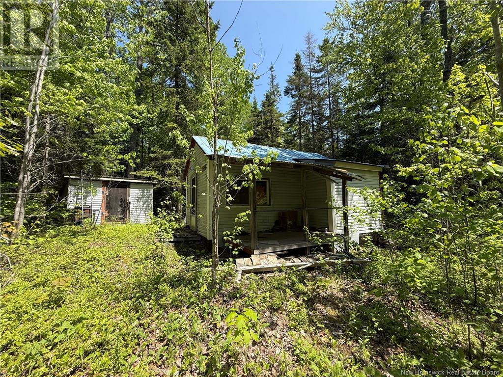 Lot With 2 Camps Hunters Home Lane, Hunters Home, New Brunswick  E4C 3J6 - Photo 31 - NB119972
