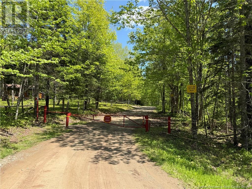 Lot With 2 Camps Hunters Home Lane, Hunters Home, New Brunswick  E4C 3J6 - Photo 45 - NB119972