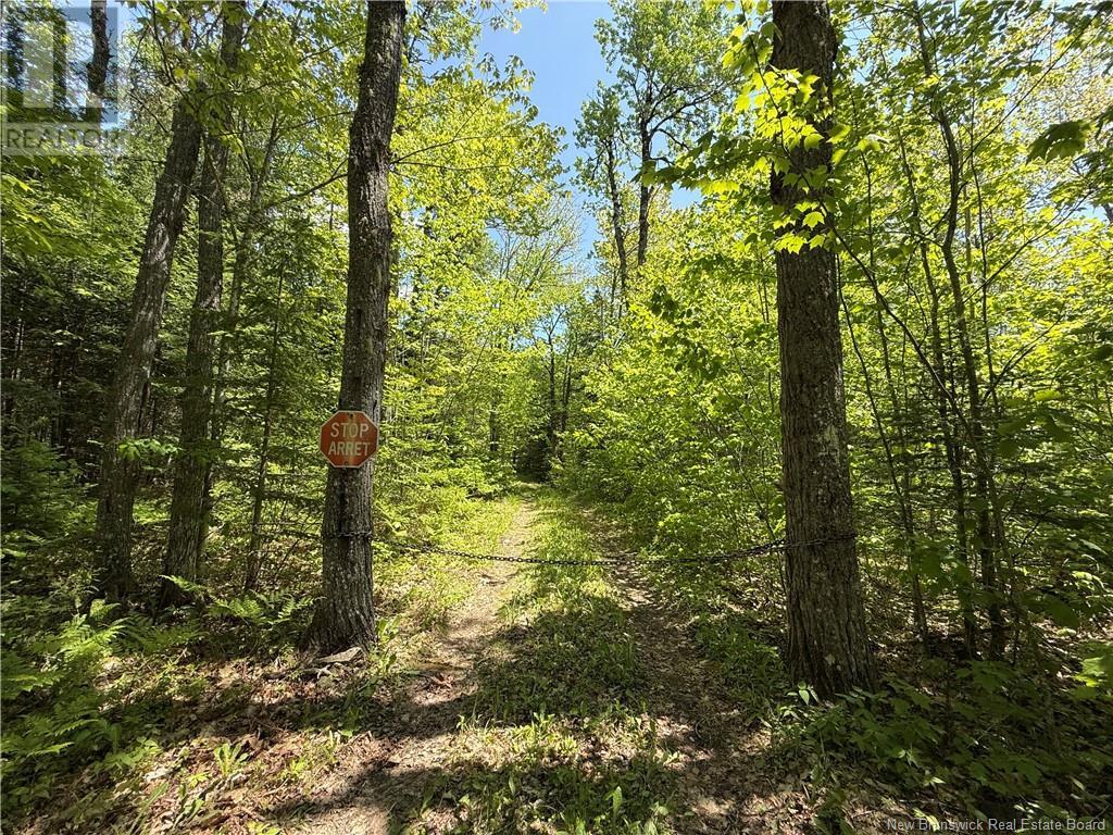 Lot With 2 Camps Hunters Home Lane, Hunters Home, New Brunswick  E4C 3J6 - Photo 46 - NB119972