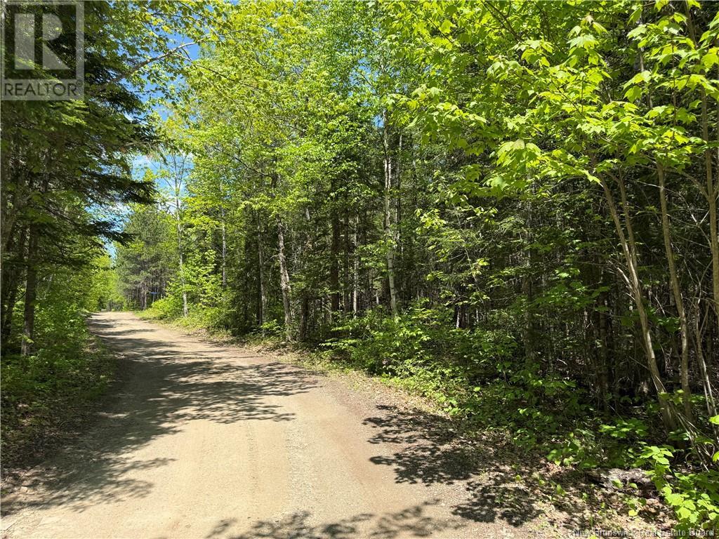 Lot With 2 Camps Hunters Home Lane, Hunters Home, New Brunswick  E4C 3J6 - Photo 47 - NB119972