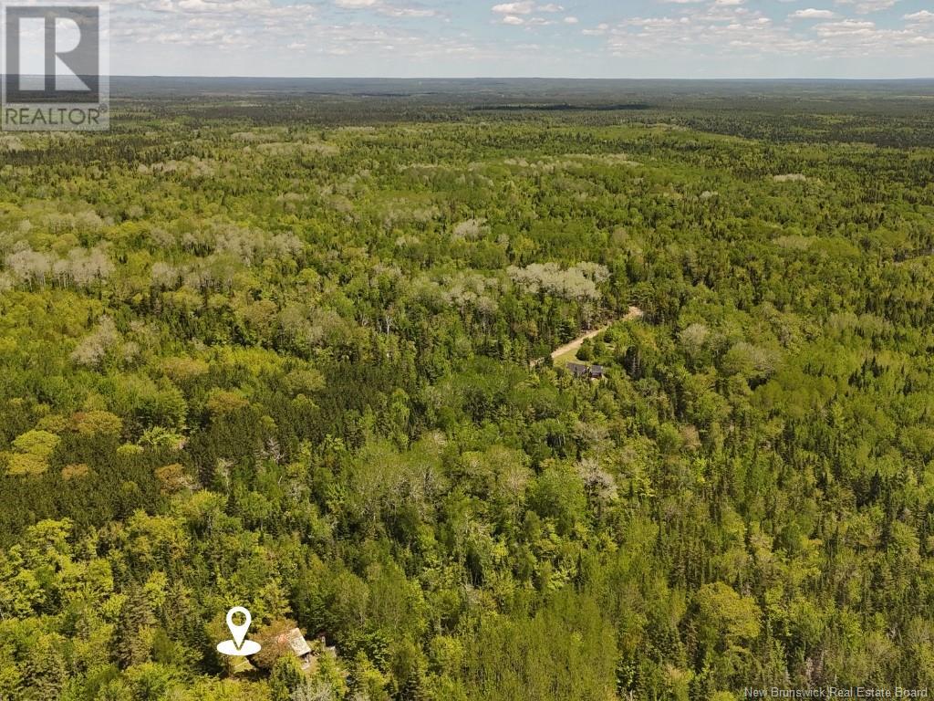 Lot With 2 Camps Hunters Home Lane, Hunters Home, New Brunswick  E4C 3J6 - Photo 5 - NB119972