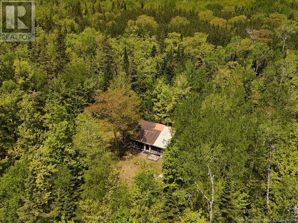 Lot With 2 Camps Hunters Home Lane, Hunters Home, New Brunswick  E4C 3J6 - Photo 7 - NB119972