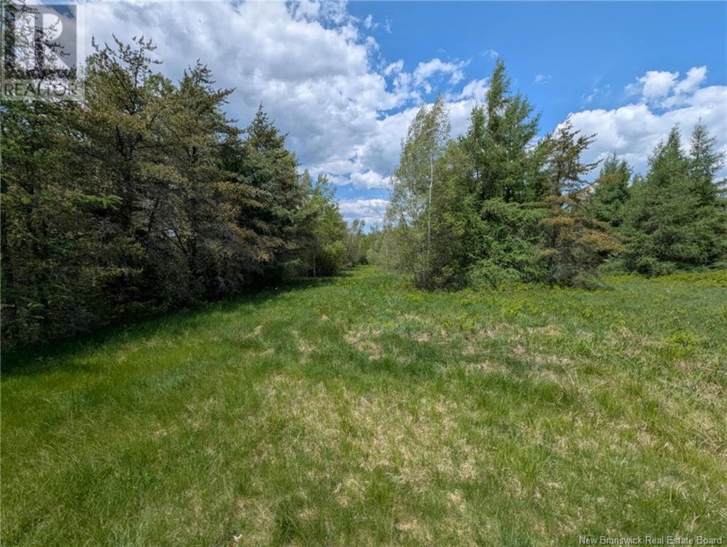 2315 Route 106, Allison, New Brunswick  E1G 4L4 - Photo 3 - NB119842