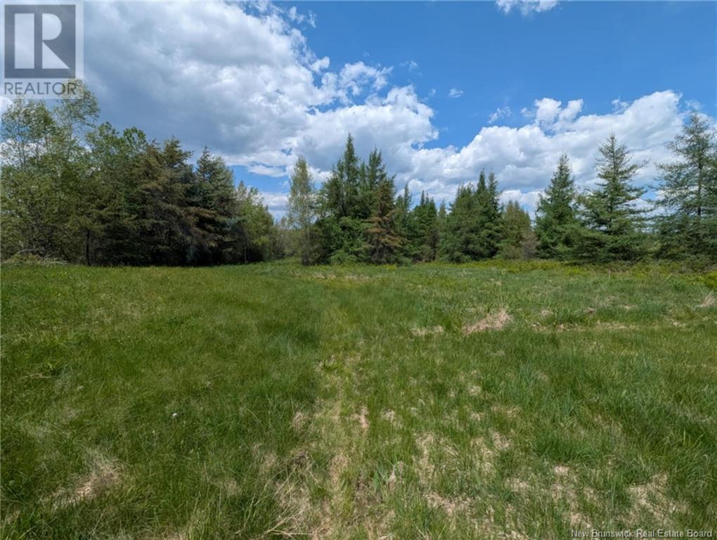 2315 Route 106, Allison, New Brunswick  E1G 4L4 - Photo 4 - NB119842