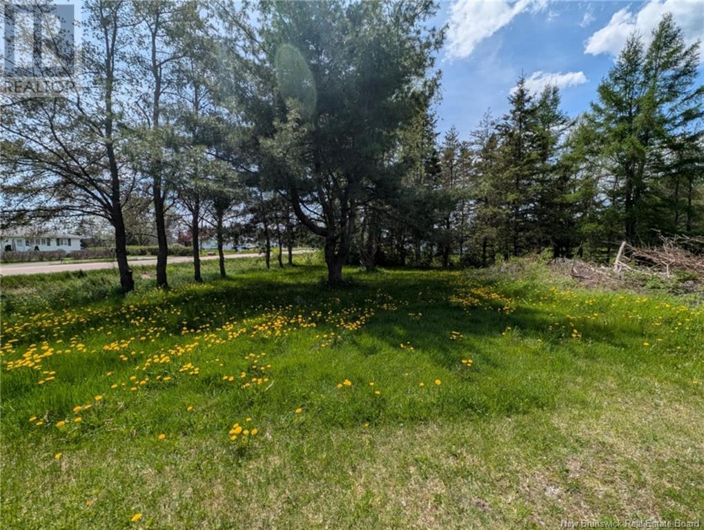 2315 Route 106, Allison, New Brunswick  E1G 4L4 - Photo 8 - NB119842