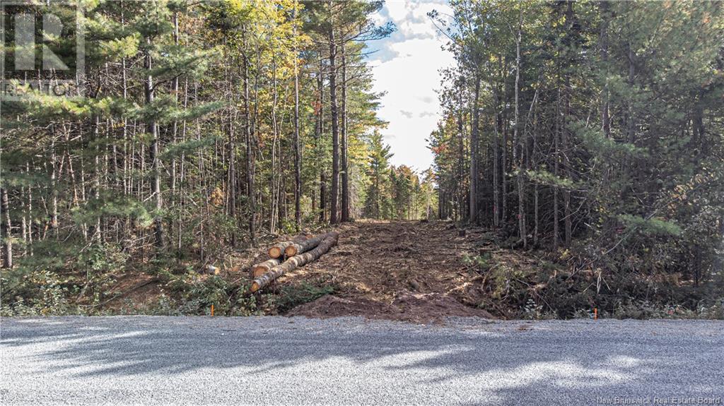 188 Wilsey Road, Fredericton Junction, New Brunswick