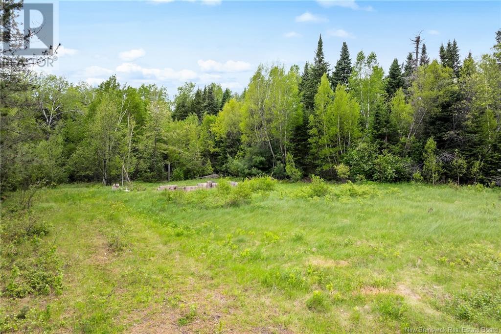 304 Pleasant Drive, Chipman, New Brunswick  E4A 1S5 - Photo 14 - NB119790