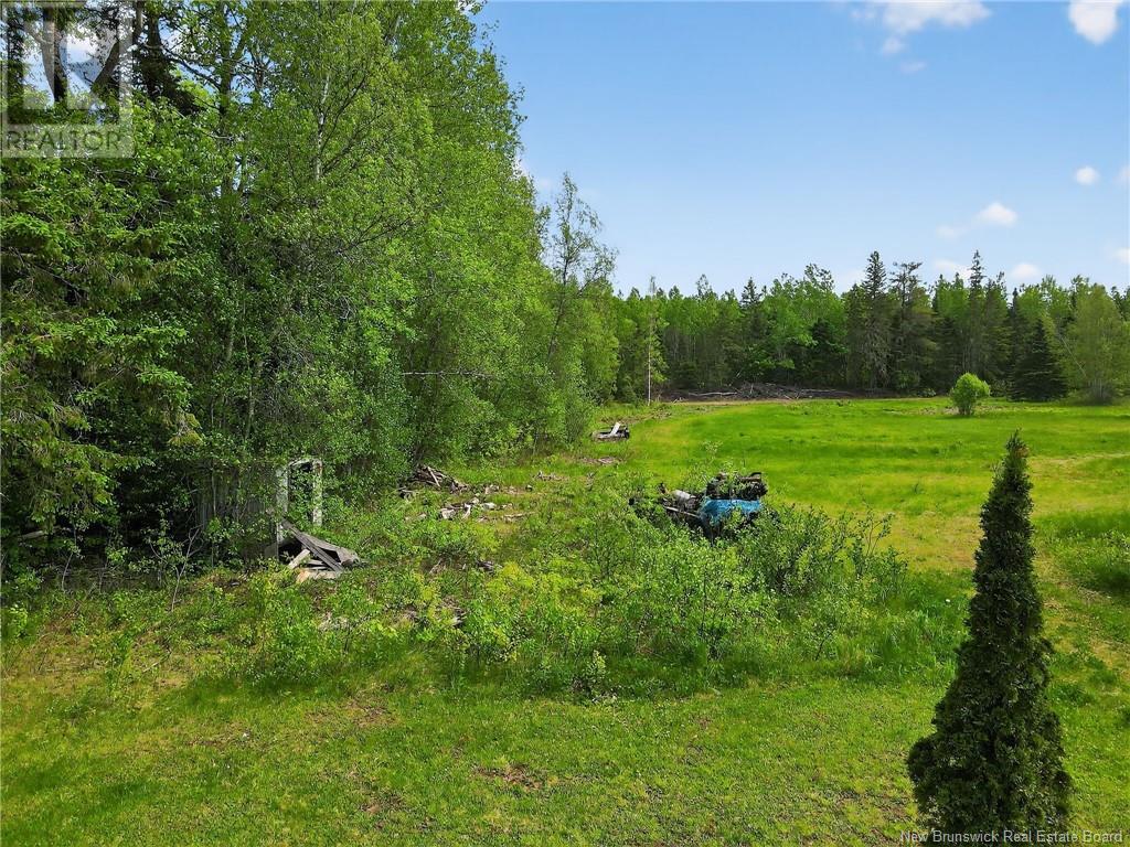 8387 126 Route, Harcourt, New Brunswick  E4T 2Z9 - Photo 35 - NB119226
