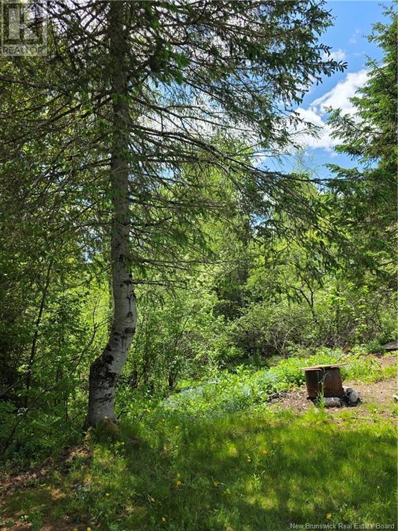 409 Kingsley Road, Kingsley, New Brunswick  E3G 6C3 - Photo 15 - NB120154