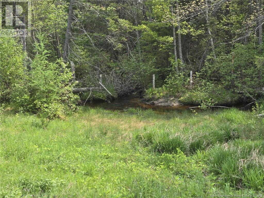 Vacant Lot 2023-2 Ch. Riviere-Du-Portage Nd, Rivière-Du-Portage, New Brunswick  E9H 1R2 - Photo 4 - NB120013