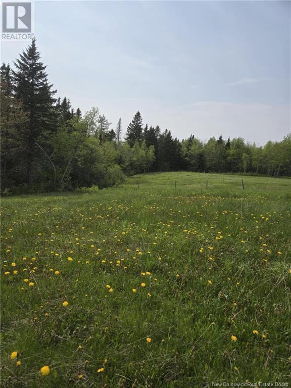 Vacant Lot 2023-2 Ch. Riviere-Du-Portage Nd, Rivière-Du-Portage, New Brunswick  E9H 1R2 - Photo 5 - NB120013