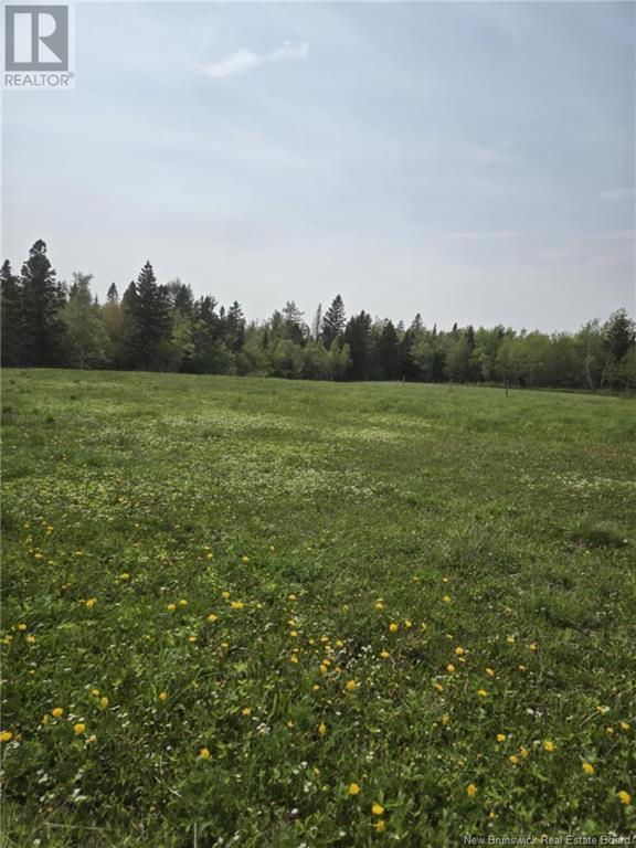 Vacant Lot 2023-2 Ch. Riviere-Du-Portage Nd, Rivière-Du-Portage, New Brunswick  E9H 1R2 - Photo 6 - NB120013