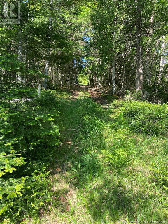 300 820 Route, Saint John, New Brunswick  E2S 2J4 - Photo 5 - NB119199