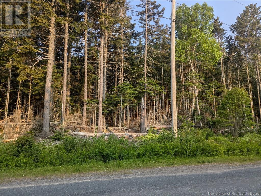 Lot North Road, Welshpool, New Brunswick