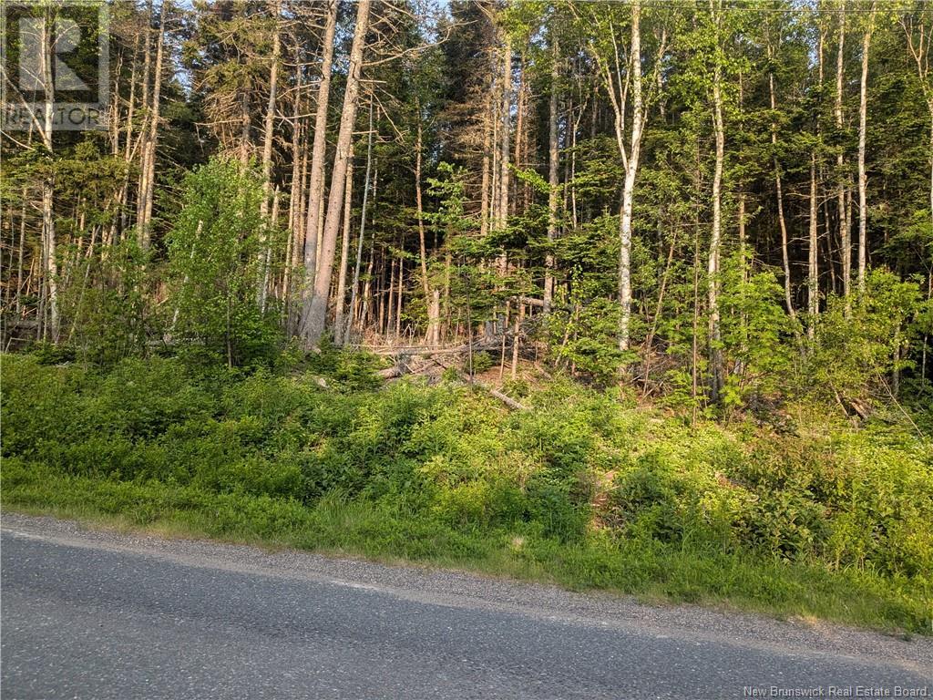 Lot North Road, Welshpool, New Brunswick  E5E 1E4 - Photo 2 - NB120204