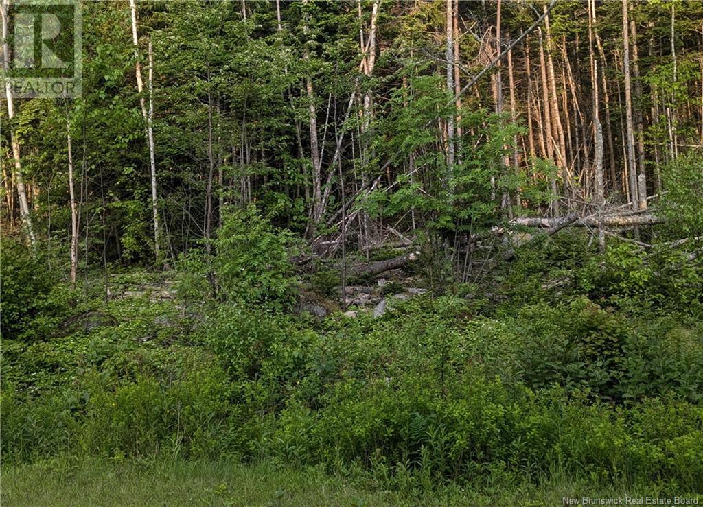 Lot North Road, Welshpool, New Brunswick  E5E 1E4 - Photo 3 - NB120204