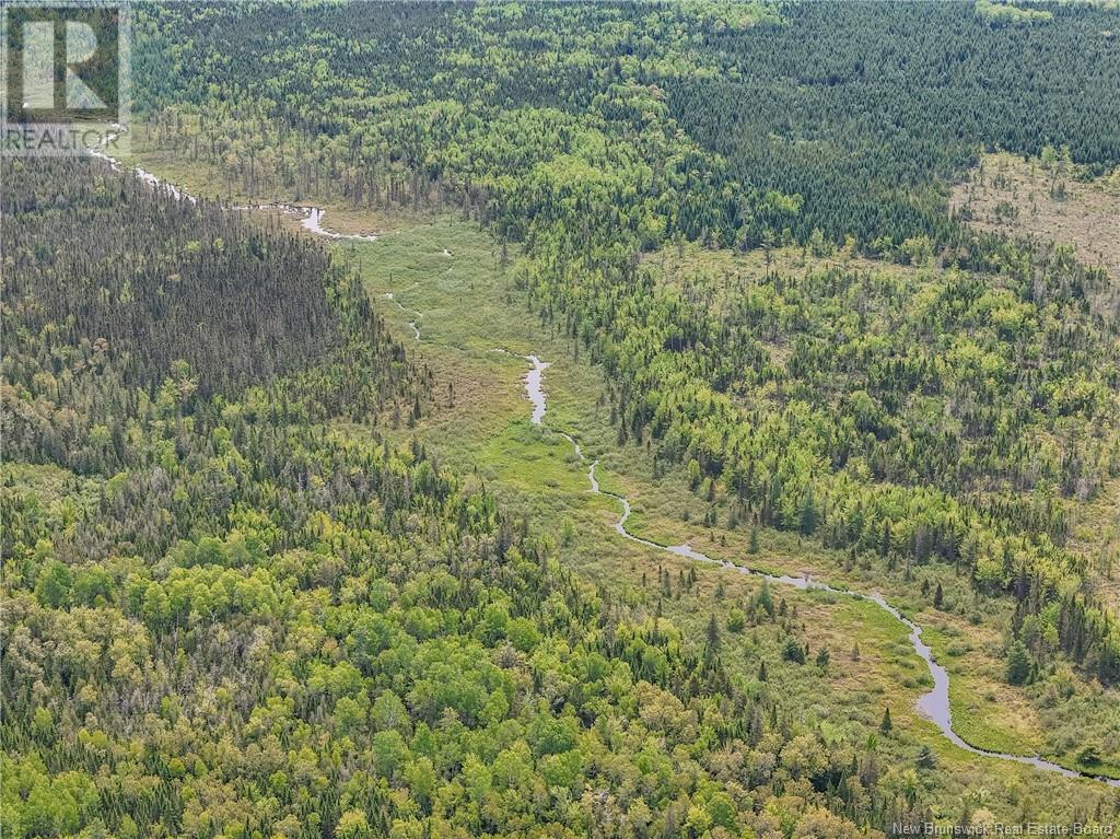 2567 Route 585, Newbridge, New Brunswick  E7N 1L7 - Photo 27 - NB119817