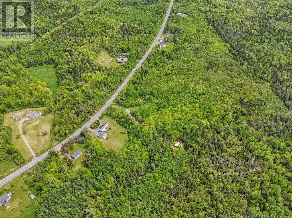 2567 Route 585, Newbridge, New Brunswick  E7N 1L7 - Photo 28 - NB119817