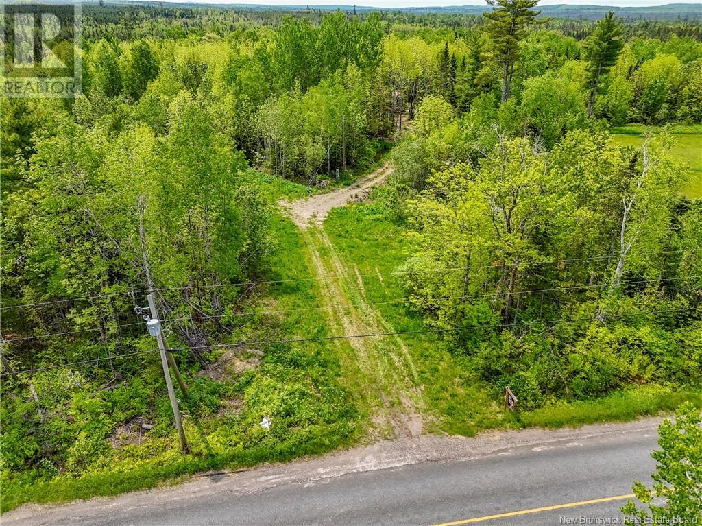 2567 Route 585, Newbridge, New Brunswick  E7N 1L7 - Photo 29 - NB119817