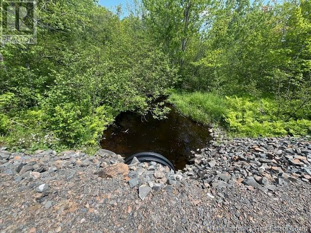 45 Bromley Avenue, Hanwell, New Brunswick  E3C 1M8 - Photo 5 - NB119979