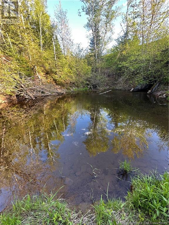 Highfield Road, Pearsonville, New Brunswick  E5P 1T2 - Photo 10 - NB120198