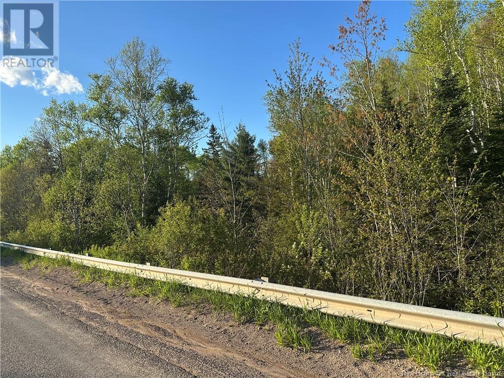 Highfield Road, Pearsonville, New Brunswick  E5P 1T2 - Photo 5 - NB120198