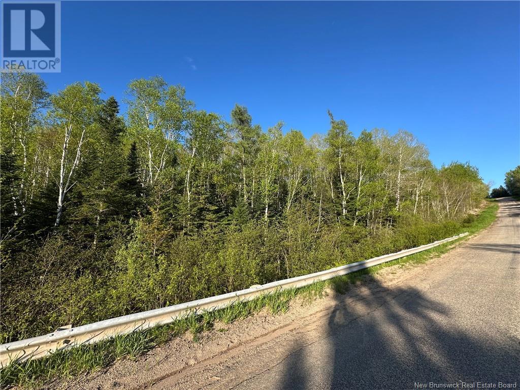 Highfield Road, Pearsonville, New Brunswick  E5P 1T2 - Photo 6 - NB120198