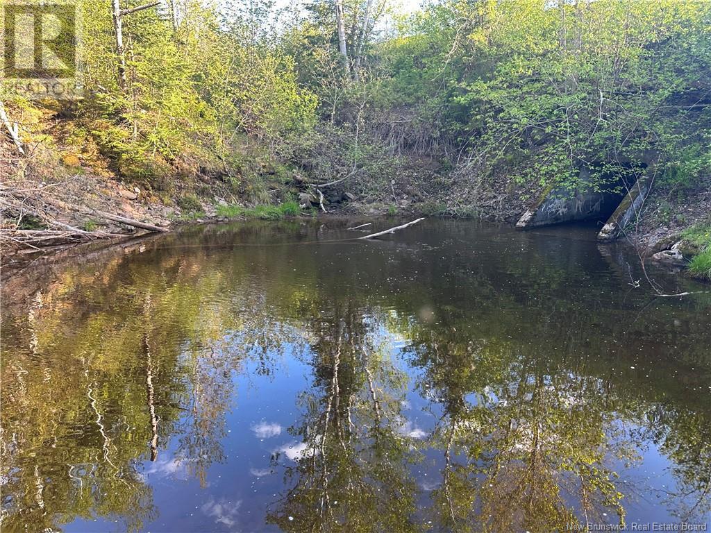 Highfield Road, Pearsonville, New Brunswick  E5P 1T2 - Photo 8 - NB120198