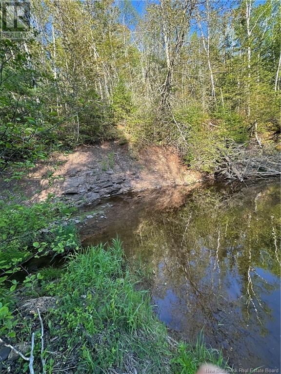 Highfield Road, Pearsonville, New Brunswick  E5P 1T2 - Photo 9 - NB120198