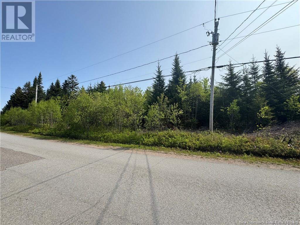 Route 770, Lee Settlement, New Brunswick  E5C 1G3 - Photo 5 - NB120220